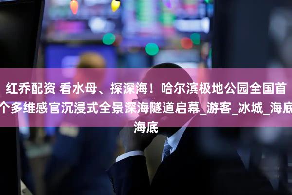 红乔配资 看水母、探深海！哈尔滨极地公园全国首个多维感官沉浸式全景深海隧道启幕_游客_冰城_海底