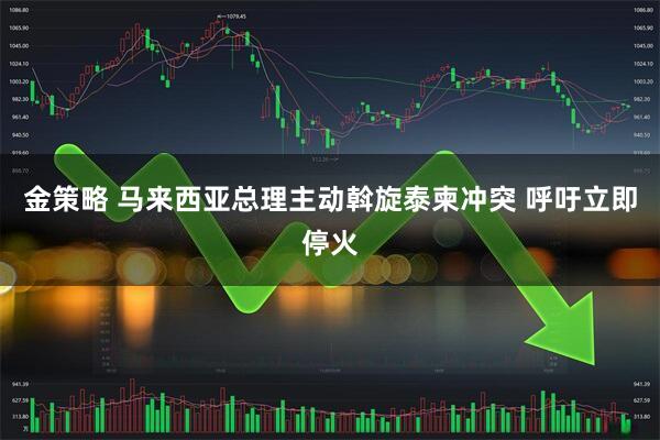 金策略 马来西亚总理主动斡旋泰柬冲突 呼吁立即停火